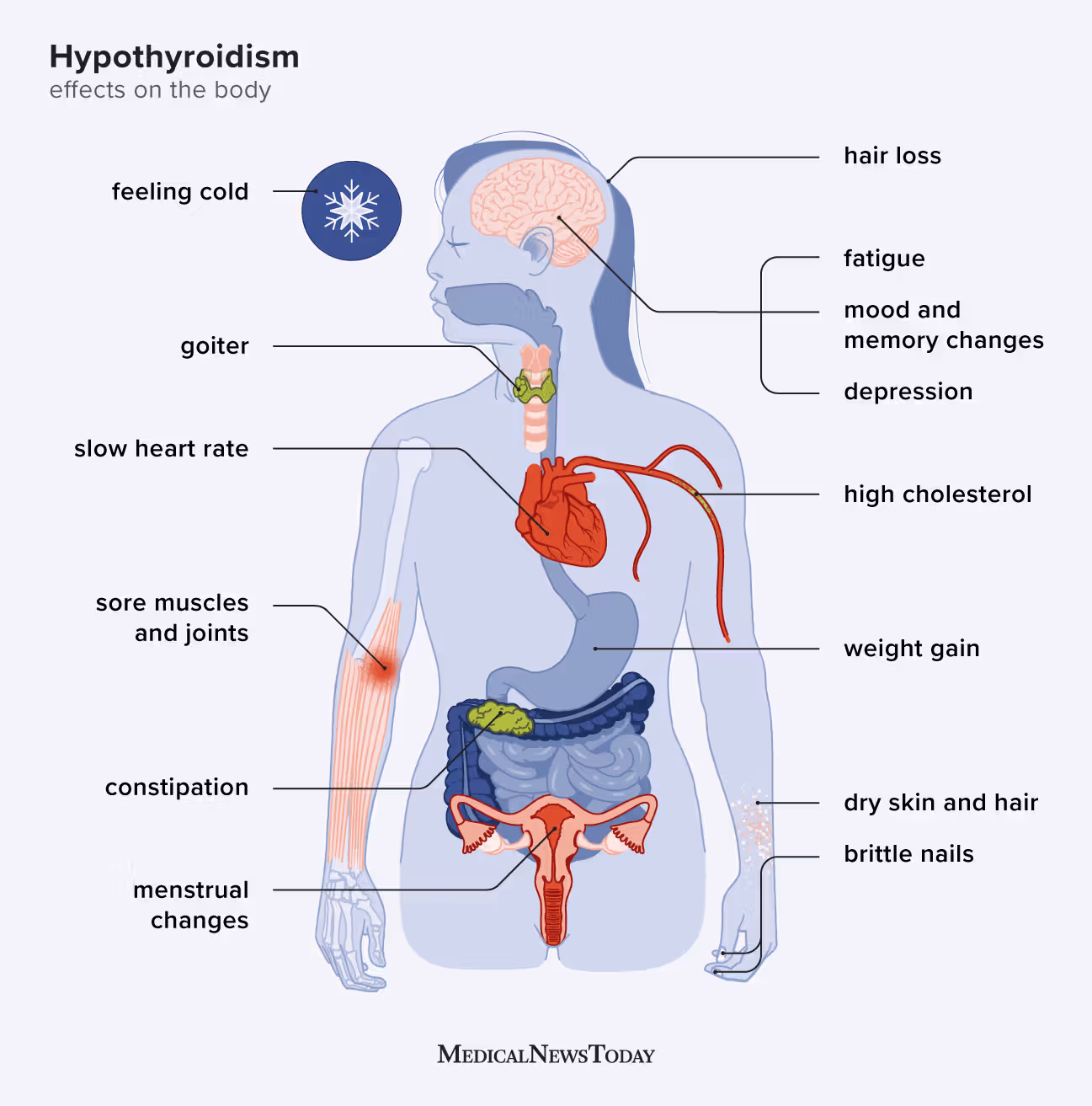 Thyroid Disorders: Symptoms and Treatment